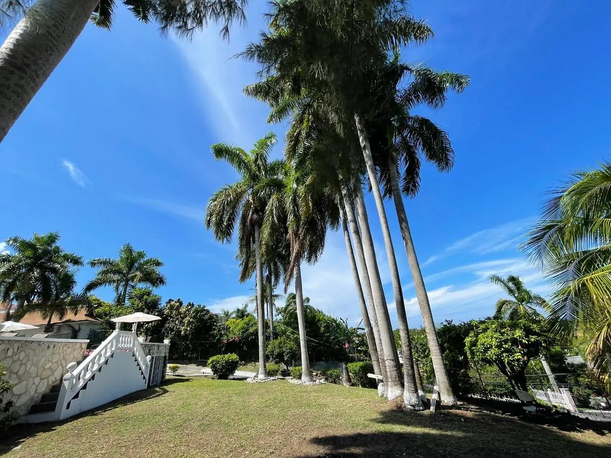 Hostel The Lodge @ Peaceful Palms Montego Bay